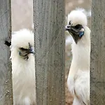 Sejour A La Ferme Campsite