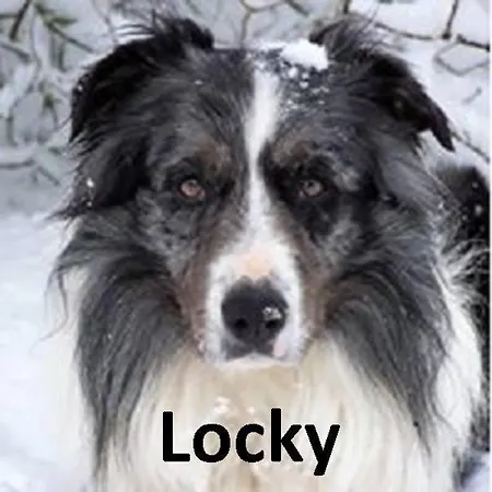 à La Ferme Valuejols