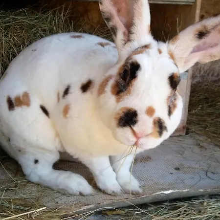 à La Ferme *