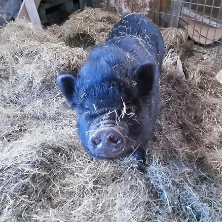 Parque de Campismo à La Ferme