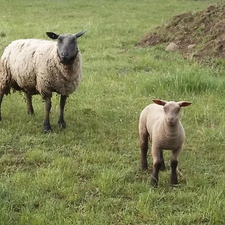 Campeggio à La Ferme Valuejols