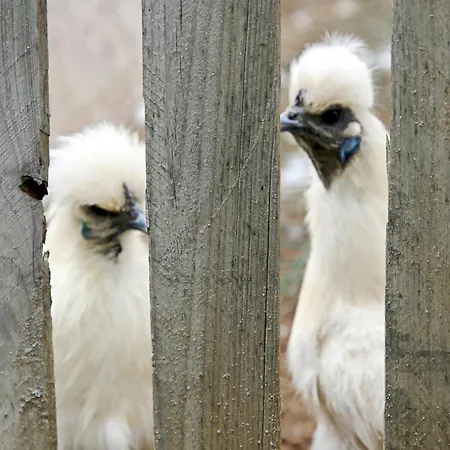 à La Ferme Campeggio *