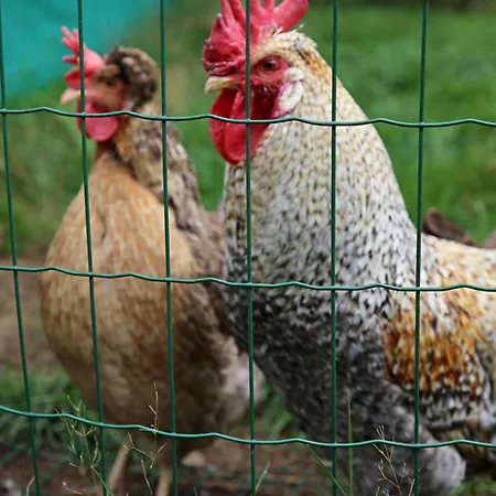 à La Ferme