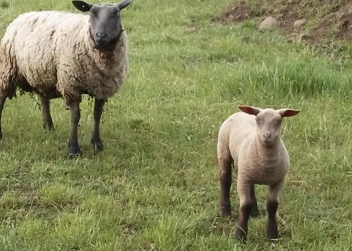 Campsite Sejour A La Ferme Valuejols